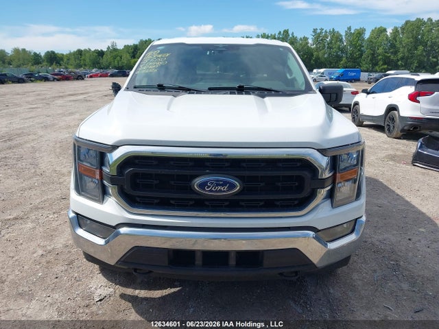 1FTFW1E83PKF64480 Ford F-150 Xlt