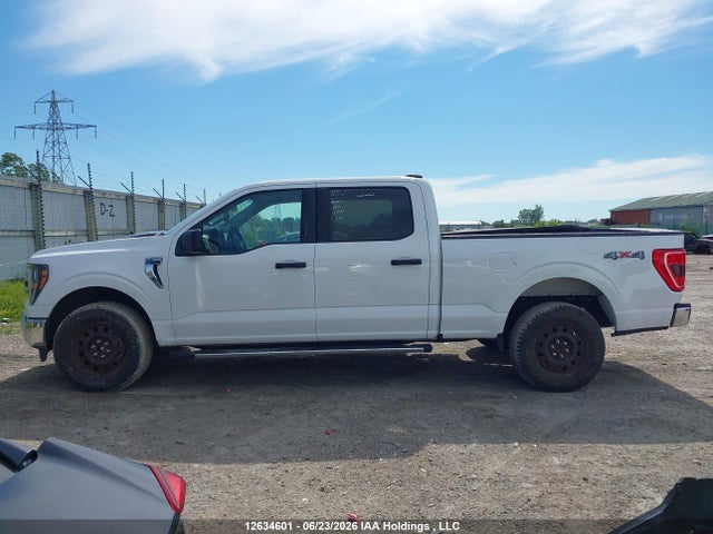 Ford F-150 Xlt 2023 1FTFW1E83PKF64480 Image 15