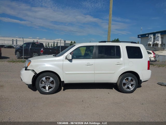 12634686 :رقم المزاد ، 5FNYF4H6XEB504677 vin ، 2014 Honda Pilot Exl مزاد بيع