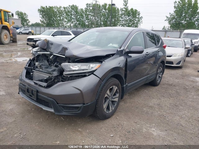 Продаж на аукціоні авто 2019 Honda Cr-v Lx, vin: 2HKRW1H30KH002251, номер лоту: 12634719