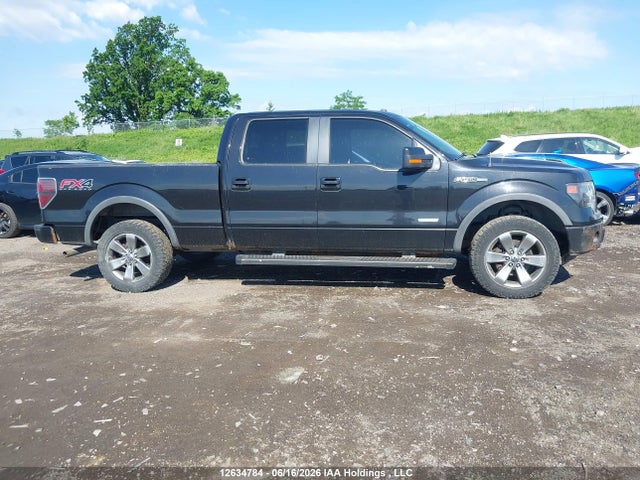 Продаж на аукціоні авто 2013 Ford F-150, vin: 1FTFW1ET0DFE09636, номер лоту: 12634784