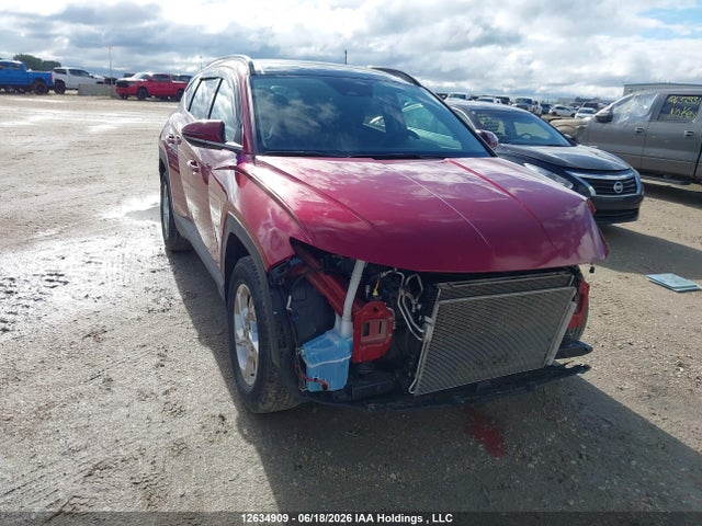 Продаж на аукціоні авто 2023 Hyundai Tucson Preferred Awd With Trend Package, vin: KM8JCCAE1PU260607, номер лоту: 12634909