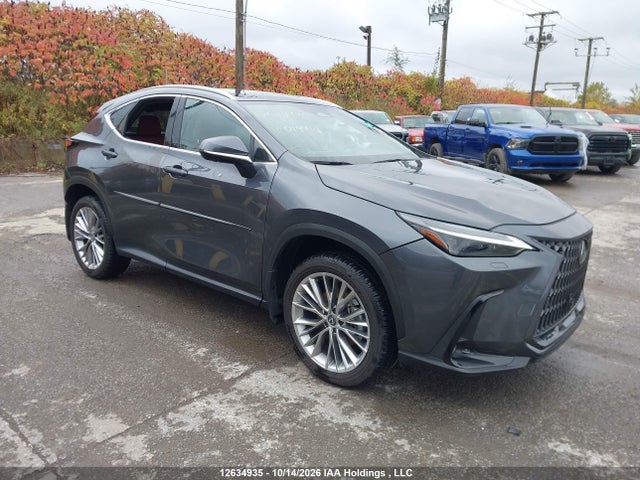 Lexus Nx 350h 350h 2025 2T2GKCEZ7SC049914 main image