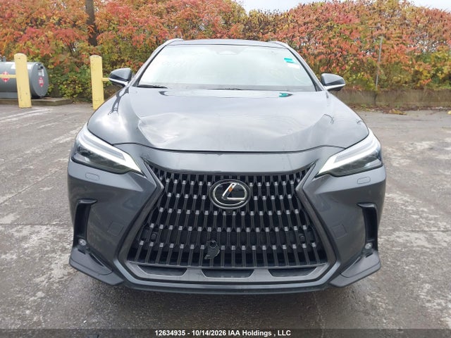 Lexus Nx 350h 350h 2025 2T2GKCEZ7SC049914 Image 13