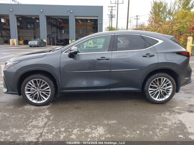 Lexus Nx 350h 350h 2025 2T2GKCEZ7SC049914 Image 15