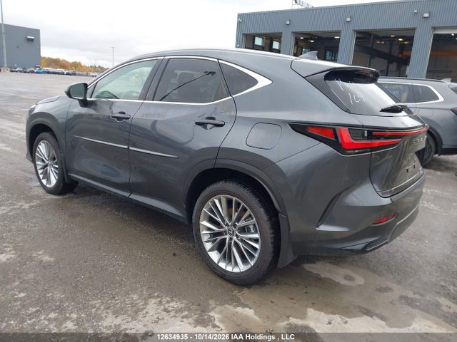 Lexus Nx 350h 350h 2025 2T2GKCEZ7SC049914 Image 3