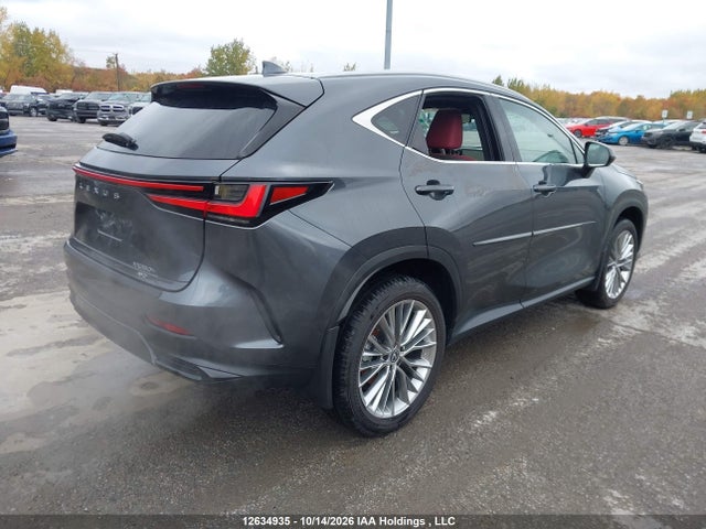 Lexus Nx 350h 350h 2025 2T2GKCEZ7SC049914 Image 4
