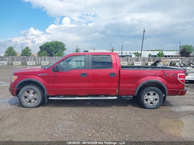 12635030 :رقم المزاد ، 1FTFW1EV1AFB58347 vin ، 2010 Ford F-150 Fx4/harley-davidson/lariat/xlt مزاد بيع