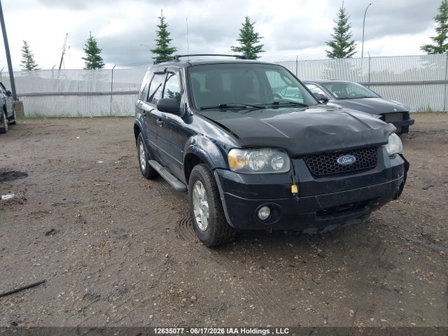 12635077 :رقم المزاد ، 1FMYU93167KA37242 vin ، 2007 Ford Escape Xlt مزاد بيع