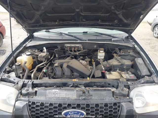 12635077 :رقم المزاد ، 1FMYU93167KA37242 vin ، 2007 Ford Escape Xlt مزاد بيع