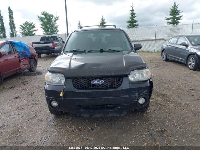 12635077 :رقم المزاد ، 1FMYU93167KA37242 vin ، 2007 Ford Escape Xlt مزاد بيع