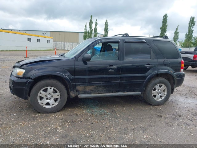 12635077 :رقم المزاد ، 1FMYU93167KA37242 vin ، 2007 Ford Escape Xlt مزاد بيع