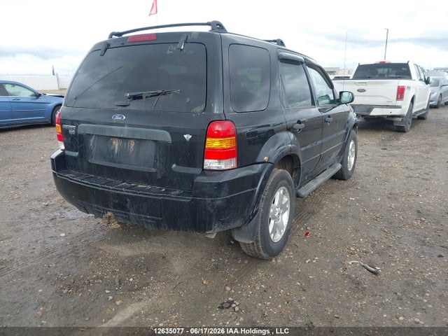 12635077 :رقم المزاد ، 1FMYU93167KA37242 vin ، 2007 Ford Escape Xlt مزاد بيع