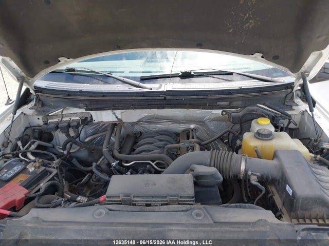 Продаж на аукціоні авто 2014 Ford F150 Supercrew, vin: 1FTFW1EF2EKF49237, номер лоту: 12635148