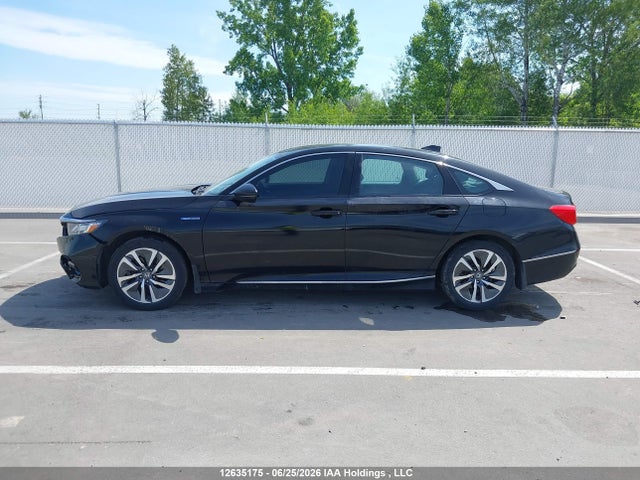 1HGCV3F78KA800659 Honda ACCORD HYBRID