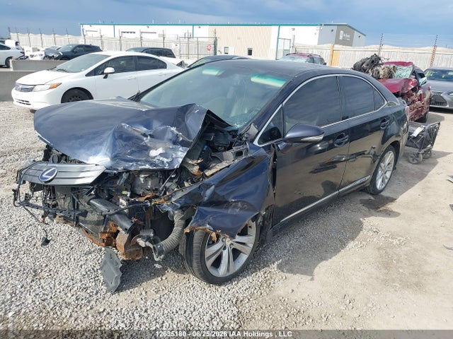 Продаж на аукціоні авто 2010 Lexus Hs 250h Premium/premium Luxury, vin: JTHBB1BA8A2027658, номер лоту: 12635180