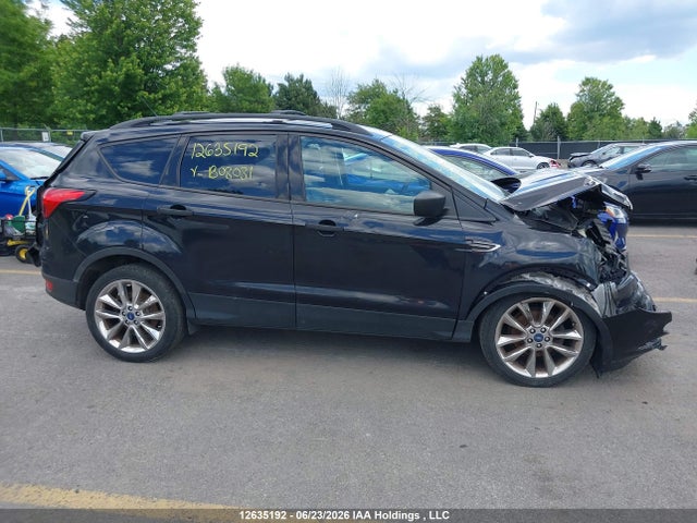 2019 Ford Escape S მანქანა იყიდება აუქციონზე, vin: 1FMCU0F79KUB08081, აუქციონის ნომერი: 12635192