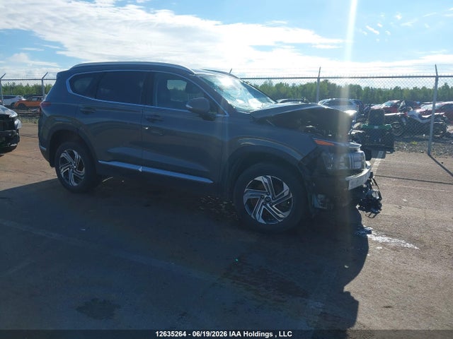 Продаж на аукціоні авто 2023 Hyundai Santa Fe Preferred Awd With Trend Package, vin: 5NMS3DAJ9PH563914, номер лоту: 12635264