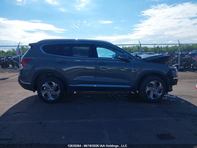 Продажа на аукционе авто 2023 Hyundai Santa Fe Preferred Awd With Trend Package, vin: 5NMS3DAJ9PH563914, номер лота: 12635264