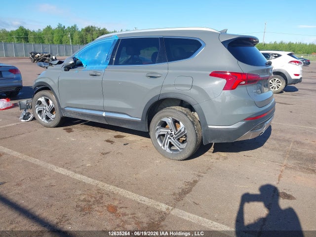 Aukcja sprzedaży 2023 Hyundai Santa Fe Preferred Awd With Trend Package, vin: 5NMS3DAJ9PH563914, numer aukcji: 12635264