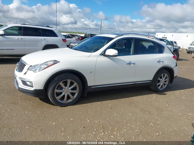 JN1BJ0RR0GM265269 Infiniti QX50