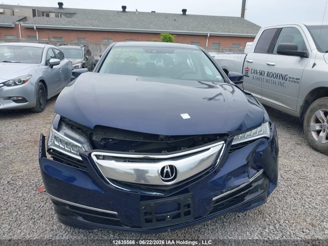 19UUB3F52FA801730 Acura TLX