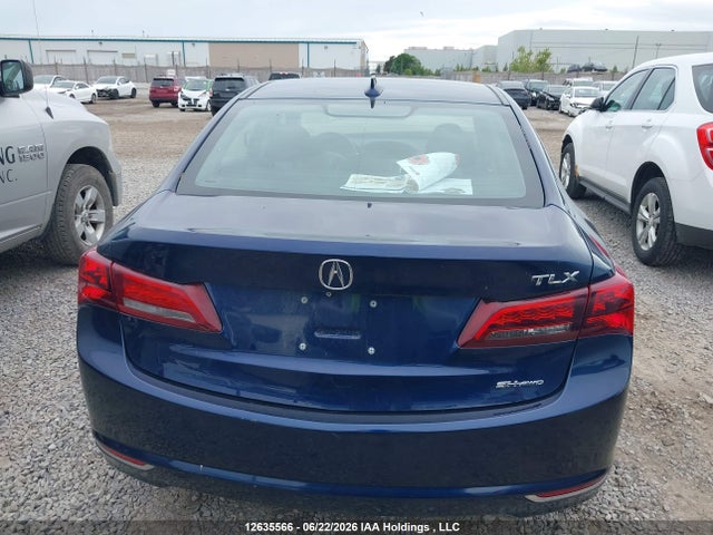 19UUB3F52FA801730 Acura TLX