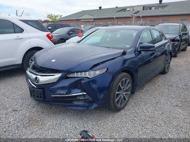 19UUB3F52FA801730 Acura TLX