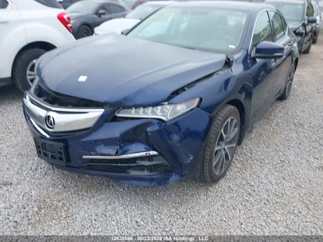 19UUB3F52FA801730 Acura TLX