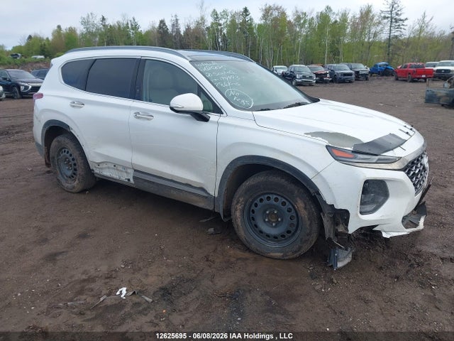 Aukcja sprzedaży 2020 Hyundai Santa Fe Luxury Turbo Awd, vin: 5NMS3CAA8LH174993, numer aukcji: 12625695
