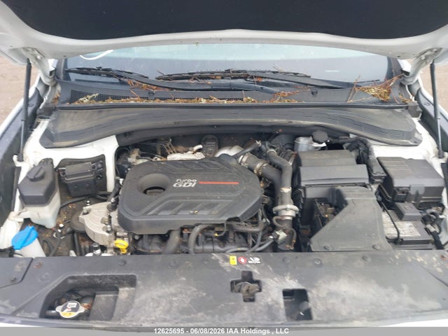 Aukcja sprzedaży 2020 Hyundai Santa Fe Luxury Turbo Awd, vin: 5NMS3CAA8LH174993, numer aukcji: 12625695