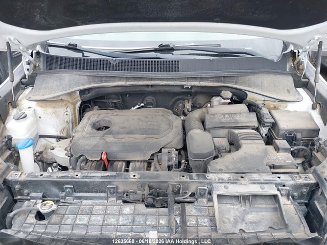 12635668 :رقم المزاد ، 5XYPG4A37KG517724 vin ، 2019 Kia Sorento مزاد بيع