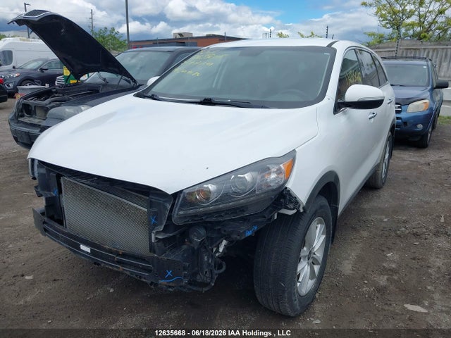 12635668 :رقم المزاد ، 5XYPG4A37KG517724 vin ، 2019 Kia Sorento مزاد بيع