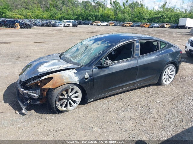 2022 Tesla Model 3 მანქანა იყიდება აუქციონზე, vin: 5YJ3E1EB7NF278451, აუქციონის ნომერი: 12635740