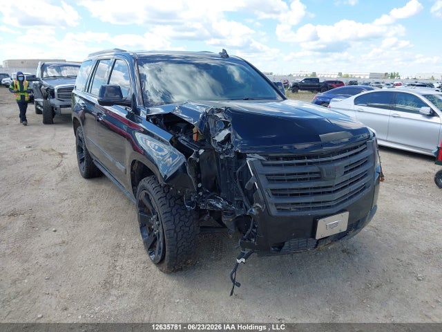 2019 1GYS4DKJ6KR205602 главное изображение