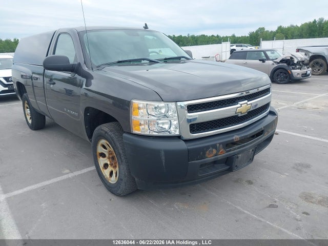 2011 Chevrolet Silverado 1500 Wt მანქანა იყიდება აუქციონზე, vin: 1GCNCPEXXBZ269939, აუქციონის ნომერი: 12636044