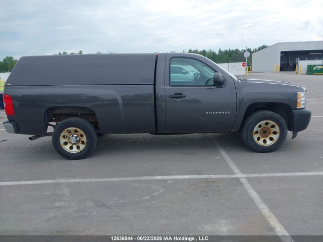 2011 Chevrolet Silverado 1500 Wt მანქანა იყიდება აუქციონზე, vin: 1GCNCPEXXBZ269939, აუქციონის ნომერი: 12636044