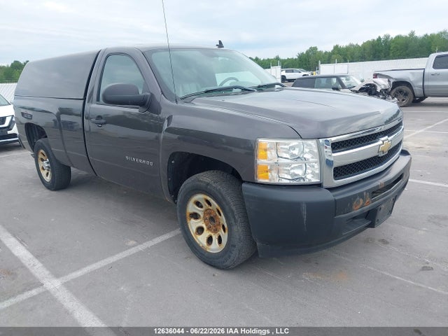 2011 Chevrolet Silverado 1500 Wt მანქანა იყიდება აუქციონზე, vin: 1GCNCPEXXBZ269939, აუქციონის ნომერი: 12636044