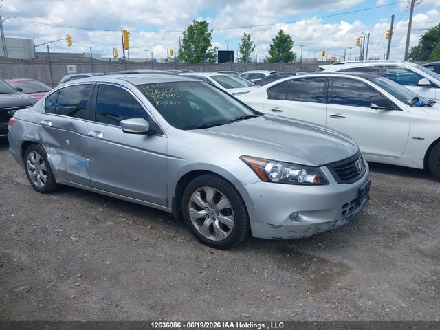 Продажа на аукционе авто 2010 Honda Accord Ex-l V6, vin: 1HGCP3F8XAA800146, номер лота: 12636086