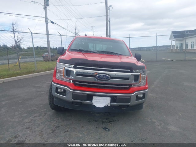 12636107 :رقم المزاد ، 1FTEW1E4XKFD21596 vin ، 2019 Ford F150 Supercrew مزاد بيع