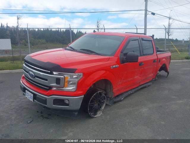 12636107 :رقم المزاد ، 1FTEW1E4XKFD21596 vin ، 2019 Ford F150 Supercrew مزاد بيع