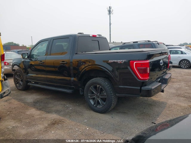 Ford F-150 Xlt 2023 1FTEW1EP9PFA04443 Image 15