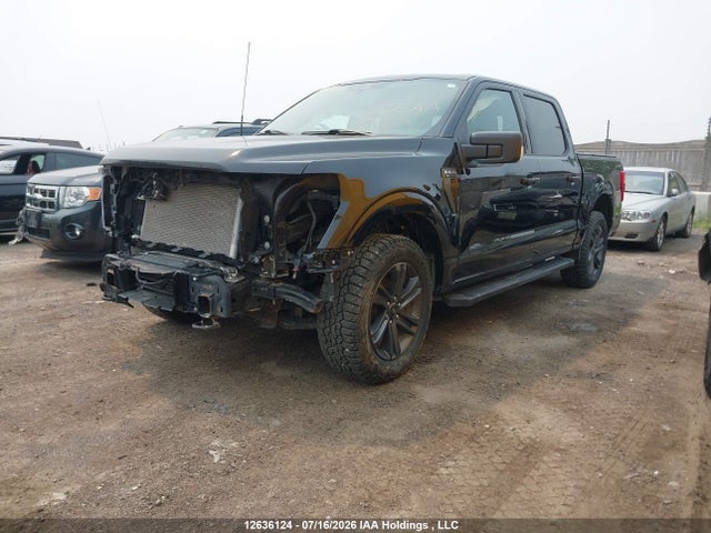 Ford F-150 Xlt 2023 1FTEW1EP9PFA04443 Image 2