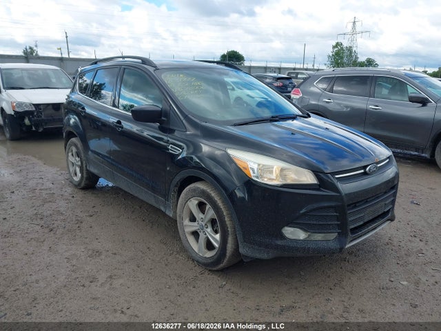 Auction sale of the 2014 Ford Escape Se, vin: 1FMCU0G95EUC78006, lot number: 12636277