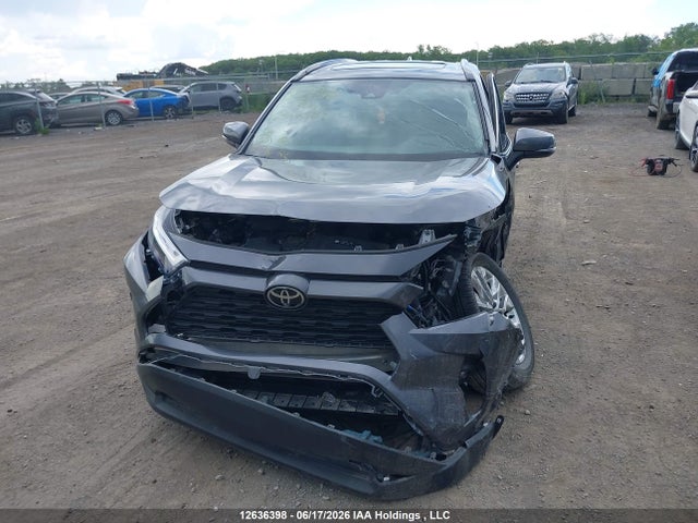 2025 Toyota Rav4 Xle/xle Premium მანქანა იყიდება აუქციონზე, vin: 2T3R1RFV8SC564538, აუქციონის ნომერი: 12636398