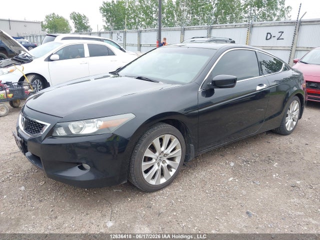 2008 Honda Accord Exl მანქანა იყიდება აუქციონზე, vin: 1HGCS218X8A800352, აუქციონის ნომერი: 12636418