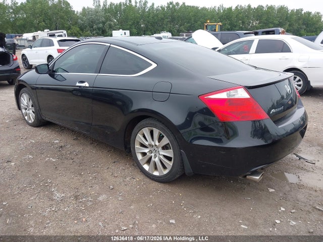 2008 Honda Accord Exl მანქანა იყიდება აუქციონზე, vin: 1HGCS218X8A800352, აუქციონის ნომერი: 12636418