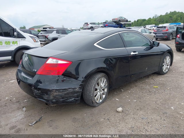 2008 Honda Accord Exl მანქანა იყიდება აუქციონზე, vin: 1HGCS218X8A800352, აუქციონის ნომერი: 12636418
