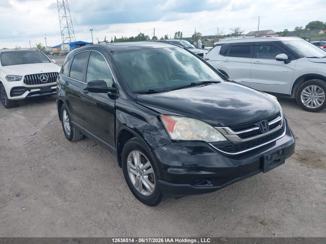 12636514 :رقم المزاد ، 5J6RE4H77AL811029 vin ، 2010 Honda Cr-v Exl مزاد بيع