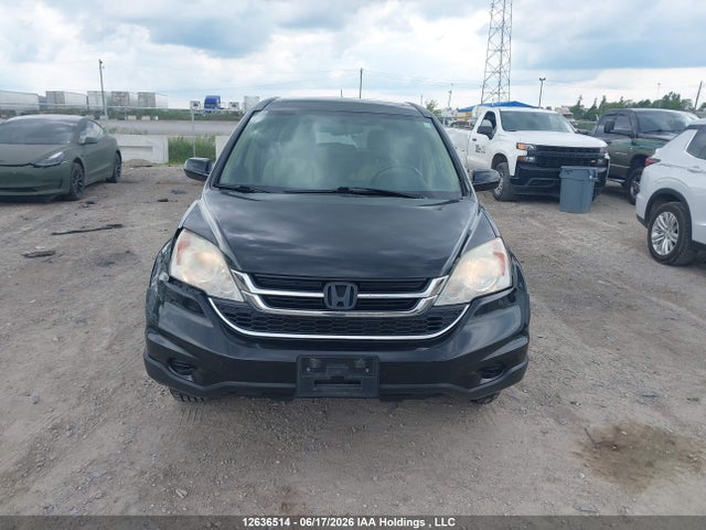 Продажа на аукционе авто 2010 Honda Cr-v Exl, vin: 5J6RE4H77AL811029, номер лота: 12636514
